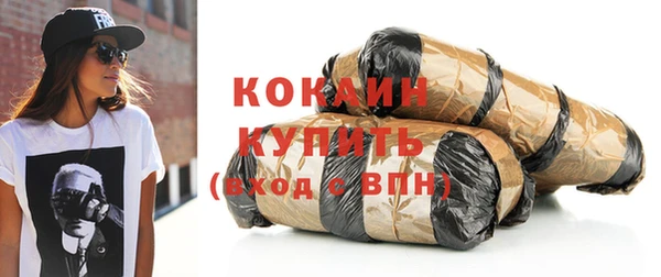 соль ск Вяземский