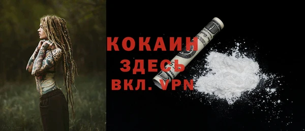 соль ск Вяземский