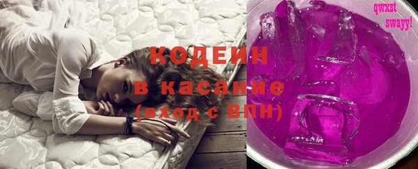 соль ск Вяземский