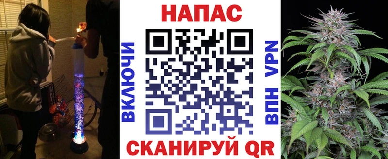 Конопля семена  цены наркотик  Ростов-на-Дону 
